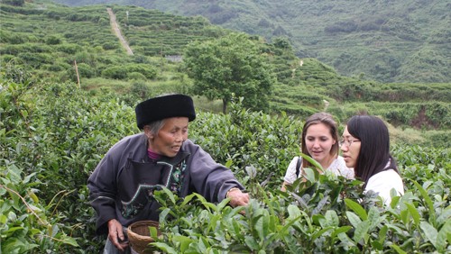 上海各区品新茶省茶业集团股份有限公司产教融合校企合作三年规划（2022-2024年）